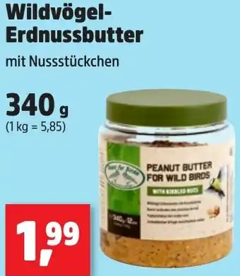 Thomas Philipps Wildvögel Erdnussbutter Angebot