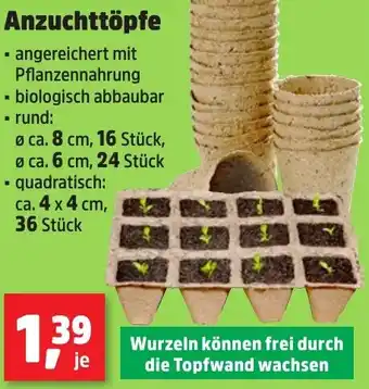 Thomas Philipps Anzuchttöpfe Angebot