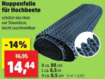 Thomas Philipps Noppenfolie für Hochbeete Angebot