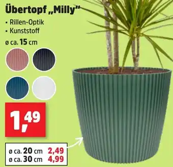 Thomas Philipps Übertopf ,,Milly" Angebot