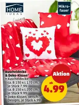 PENNY HOME IDEAS Kuscheldecke & Deko-Kissen Angebot