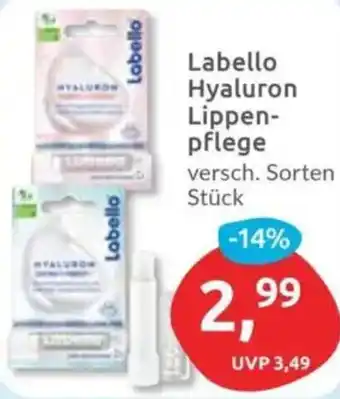 Budni Labello Hyaluron Lippenpflege Angebot