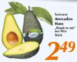 inkoop SanLucar Avocados Hass Angebot