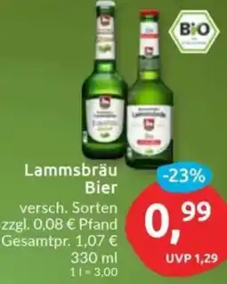 Budni Lammsbräu Bier Angebot