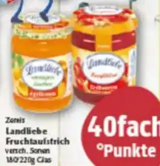 inkoop Zentis Landliebe Fruchtaufstrich Angebot