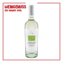 Netto Marken-Discount Torre Santa Trebbiano Pinot Grigio Puglia IGT 11,5 % vol 0,75 Liter - Inhalt: 6 Flaschen Angebot