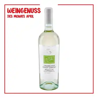 Netto Marken-Discount Torre Santa Trebbiano Pinot Grigio Puglia IGT 11,5 % vol 0,75 Liter - Inhalt: 6 Flaschen Angebot