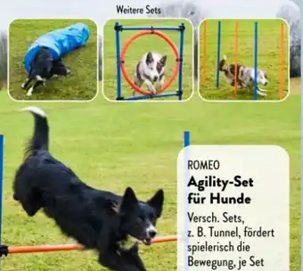 Aldi Süd Romeo Agility Set Angebot