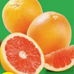 Lidl Grapefruits XXL Angebot