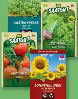 Lidl Saatgut Angebot