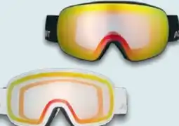 Lidl Crivit Kinder Ski-Snowboardbrille Angebot