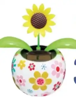 Rossmann Ideen Welt Solar Gute Laune Blume Angebot