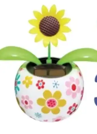 Rossmann Ideen Welt Solar Gute Laune Blume Angebot