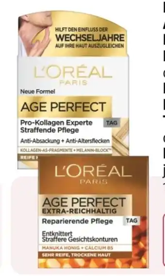 Rossmann L'Oréal Paris Age Perfect Pro-Kollagen Experte Tagespflege Angebot