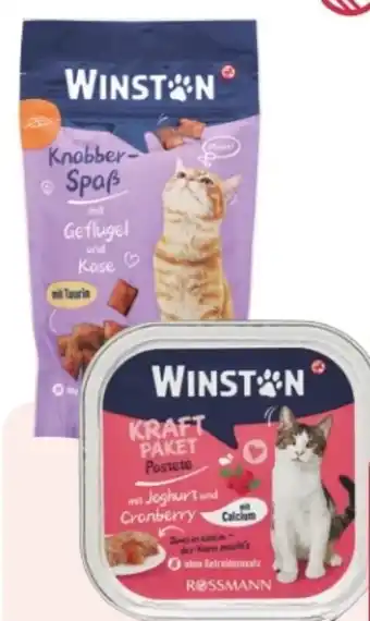 Rossmann Winston Knabber-Spaß Angebot