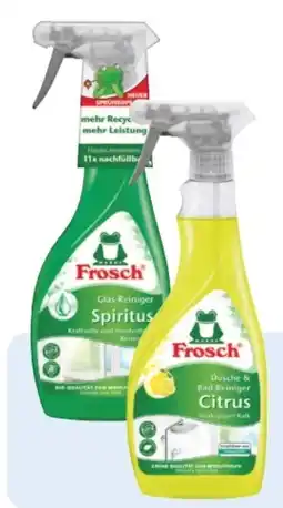 Rossmann Frosch Spiritus Glasreiniger Angebot