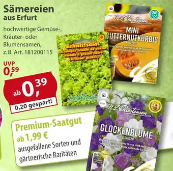 Sonderpreis Baumarkt Sämereien aus Erfurt Angebot