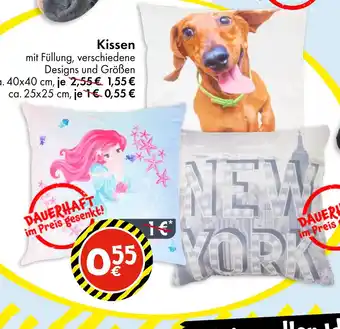 TEDi Kissen Angebot