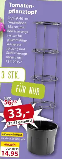 Sonderpreis Baumarkt Tomatenpflanztopf Angebot