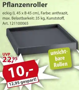 Sonderpreis Baumarkt Pflanzenroller Angebot