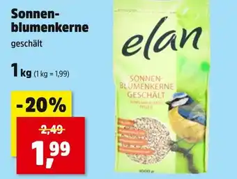 Thomas Philipps Sonnenblumenkerne Angebot