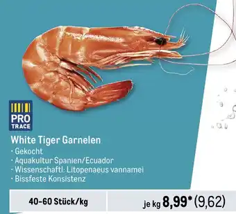 METRO White Tiger Garnelen Angebot