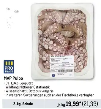 METRO MAP Pulpo Angebot