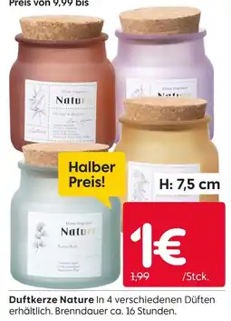 Rusta Nature duftkerze Angebot