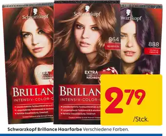 Rusta Schwarzkopf brillance haarfarbe Angebot