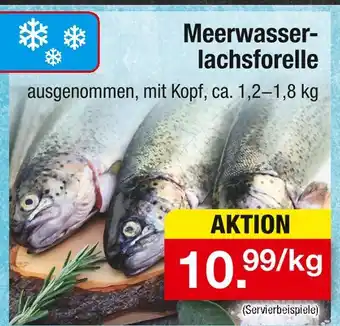 Zimmermann Meerwasserlachsforelle Angebot