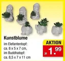 Zimmermann Kunstblume Angebot