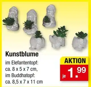 Zimmermann Kunstblume Angebot