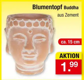 Zimmermann Blumentopf buddha Angebot