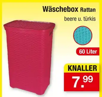 Zimmermann Wäschebox rattan Angebot