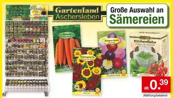 Zimmermann Florina profi-saat Angebot