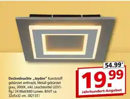 Segmüller Deckenleuchte jayden Angebot