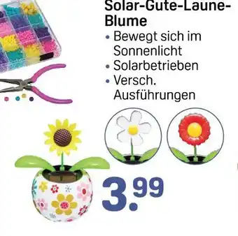 Rossmann Solar-gute-laune-blume Angebot