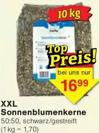 Jawoll XXL Sonnenblumenkerne Angebot