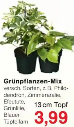 Jawoll Grünpflanzen-Mix Angebot