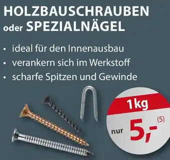 Sonderpreis Baumarkt Holzbauschrauben oder spezialnägel Angebot