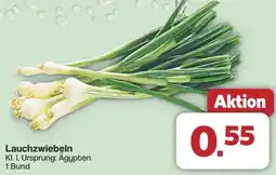 Famila Nord West Lauchzwiebeln Angebot