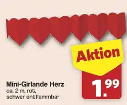 Famila Nord West Mini-Girlande Herz Angebot