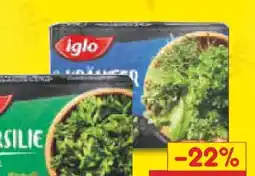 Netto Marken-Discount Iglo Petersilie Angebot