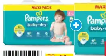 Netto Marken-Discount Pampers Baby Dry Angebot