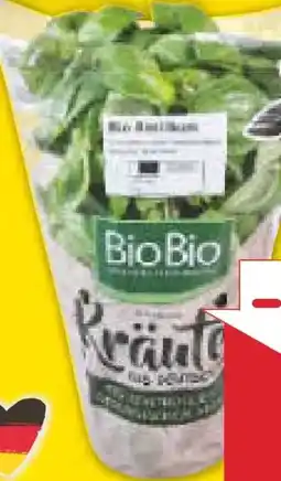 Netto Marken-Discount BioBio Bio-Kräutertopf Angebot