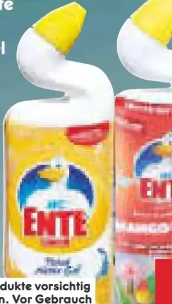 Netto Marken-Discount WC-Ente Gel Angebot