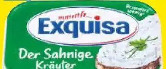 Netto Marken-Discount Exquisa Frischkäse Der Sahnige Kräuter Angebot