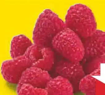 Netto Marken-Discount Himbeeren Angebot