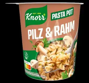 PENNY Knorr Pasta Snack Pot Angebot