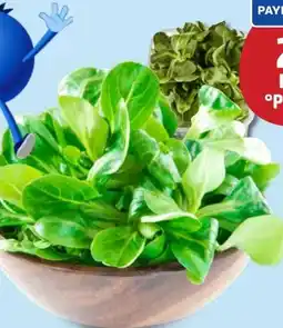 Edeka Feldsalat Angebot